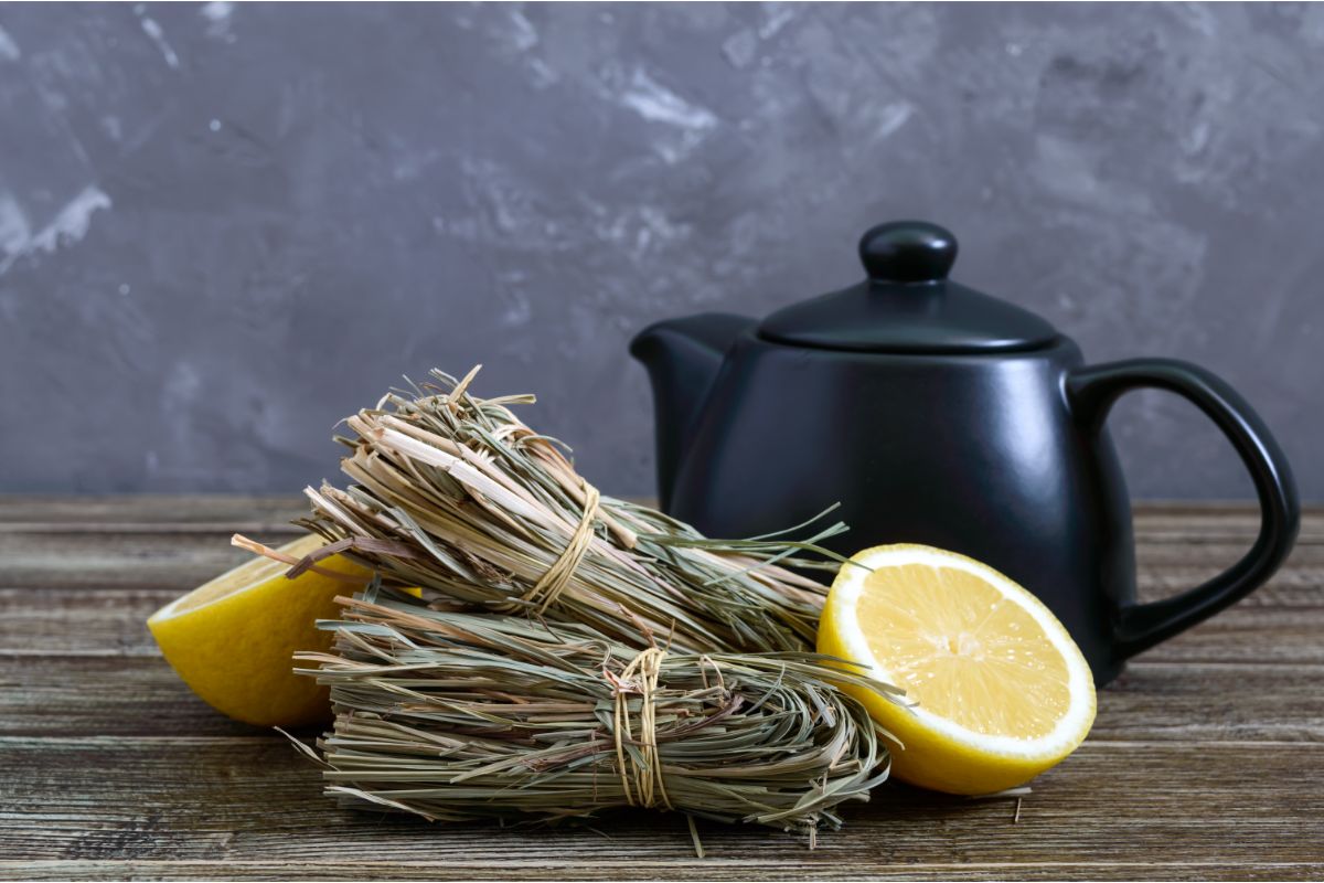Dried lemongrass stalks with teapot and lemon
