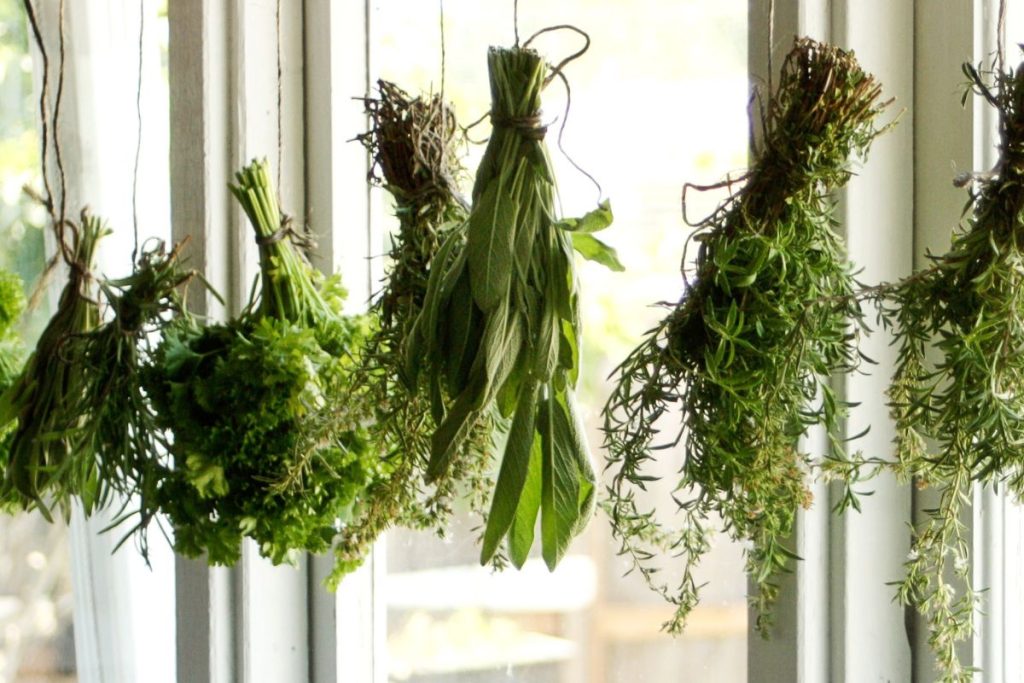 Herb bundles hanging upside down from a twine string in front of window