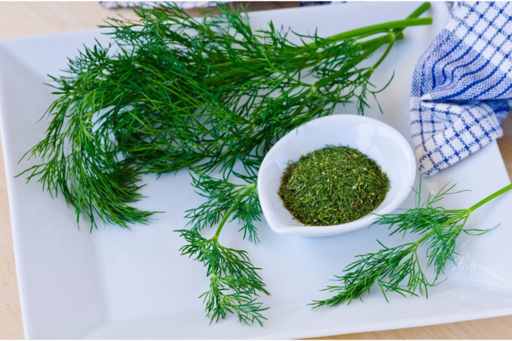 Fresh dill fronds next to a cup of freshly dried dill