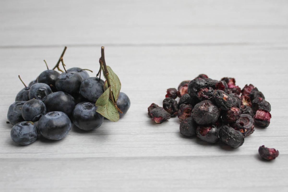 fresh and freeze dried blueberries