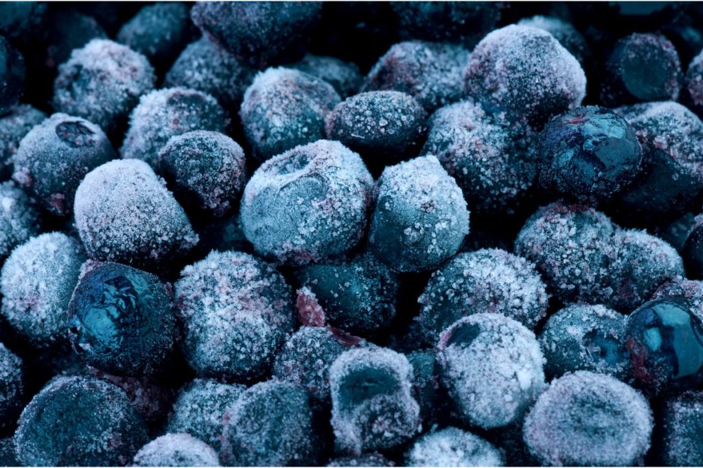 Dehydrating Frozen Blueberries And Making Blueberry Powder