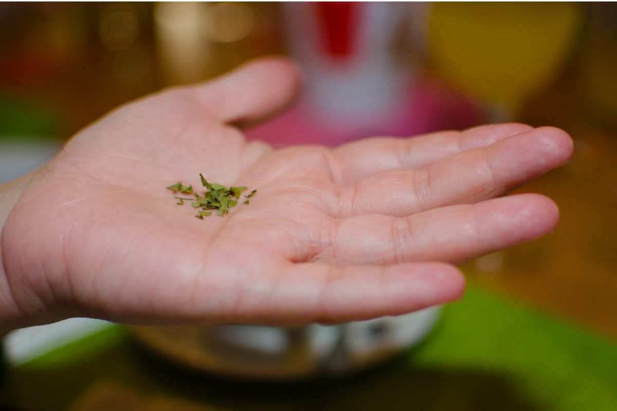 How To Store Dry Herbs For A Long Shelf Life