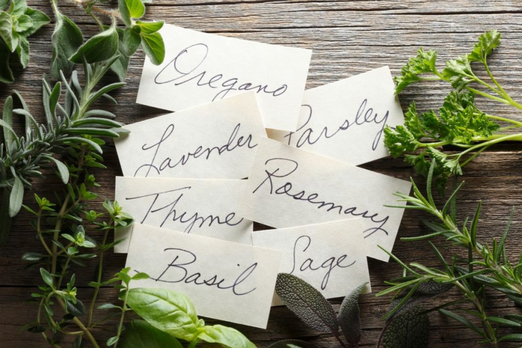 Herb labels with fresh herbs