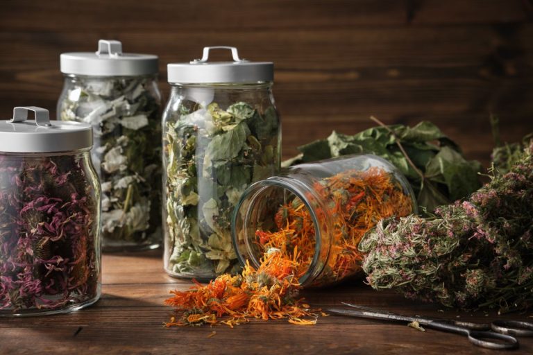 The Best Dried Herb Storage Containers To Preserve Herbs