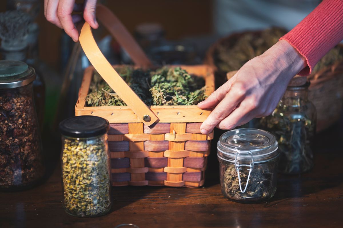 Woman storing dried herbs in glass jars