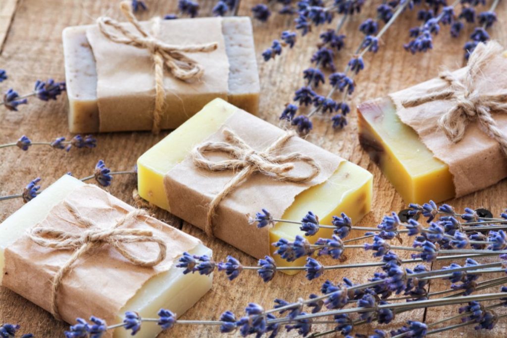 Bars of lavender soap sitting amidst fresh lavender stems