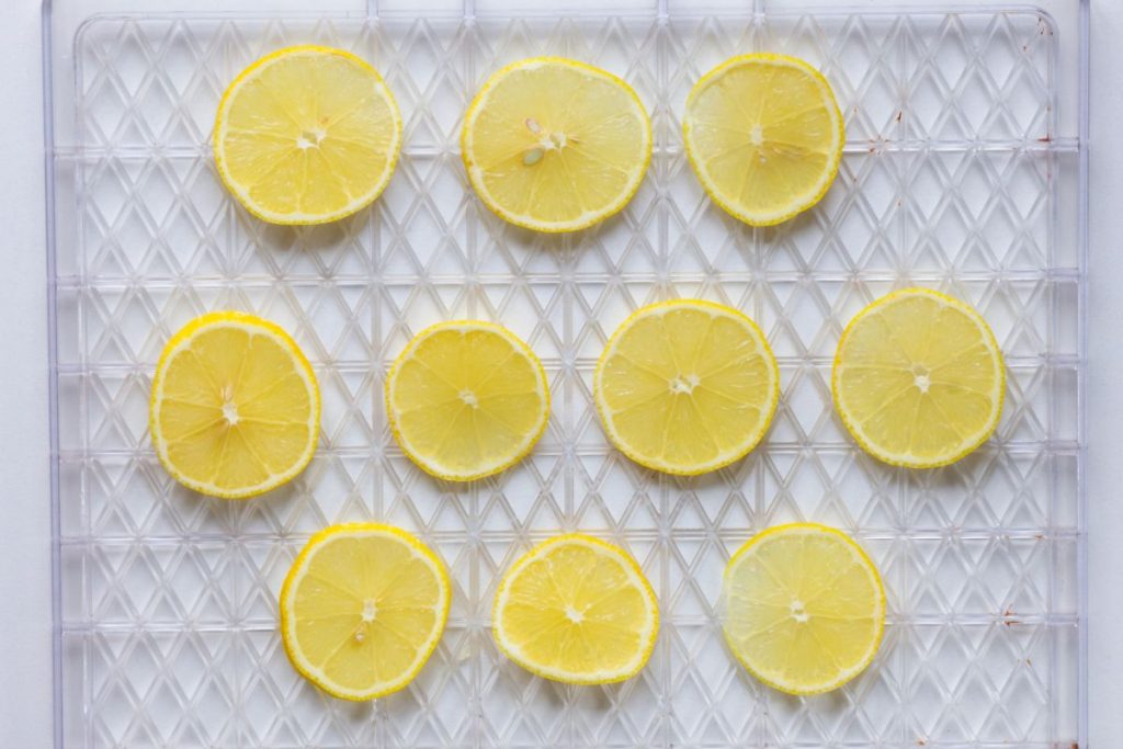 Lemon slices in a single layer on a food dehydrator tray
