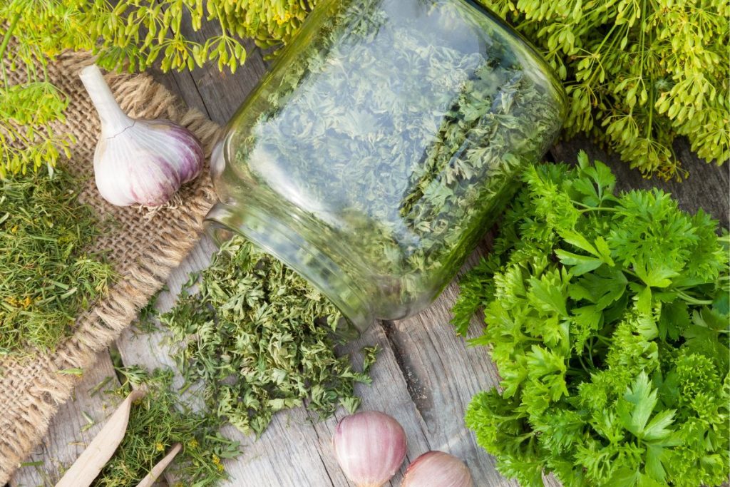 Dried parsley in a jar surrounded by fresh parsley