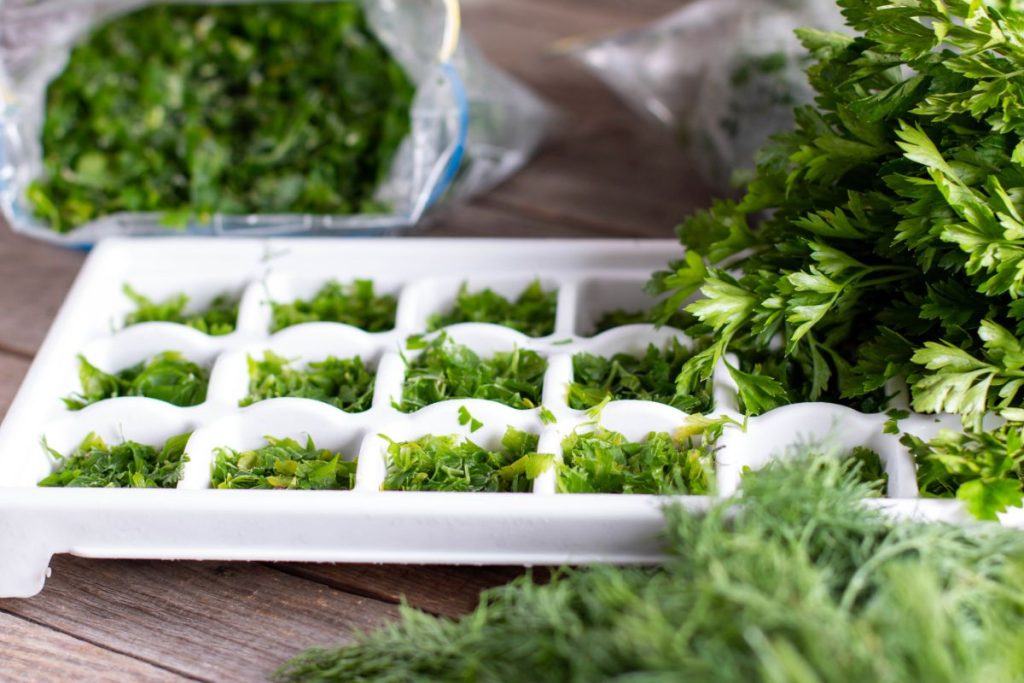 Portioning herbs in ice cube trays