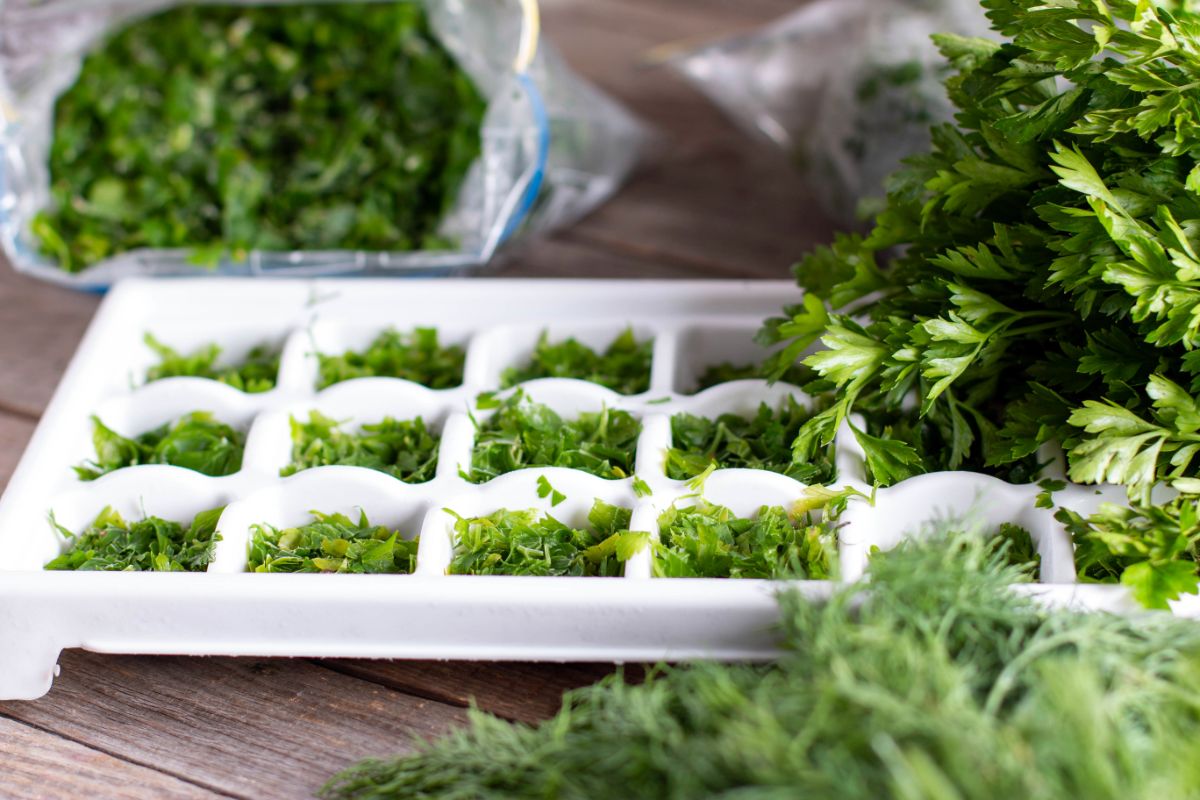 How To Store Dry Herbs For A Long Shelf Life