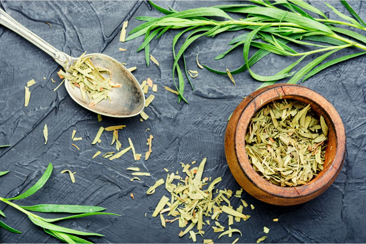 How To Dry Tarragon For LongTerm Storage