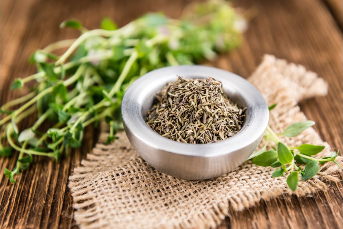 Fresh and dried thyme
