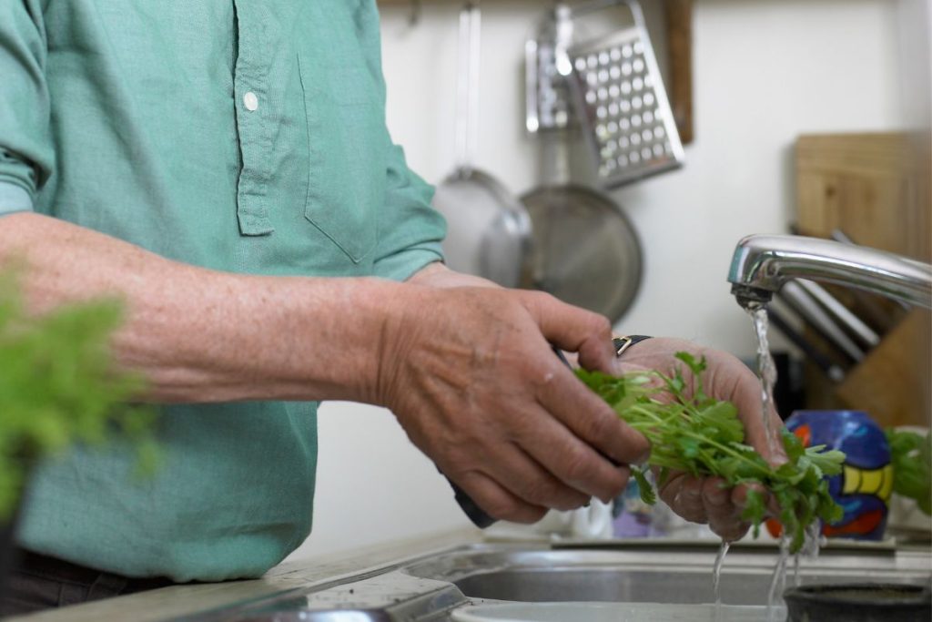 Man rinsing fresh herbs in sink