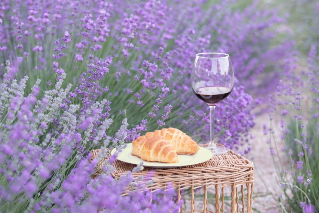 European lavender field with a table that has a croissant and glass of wine resting on it