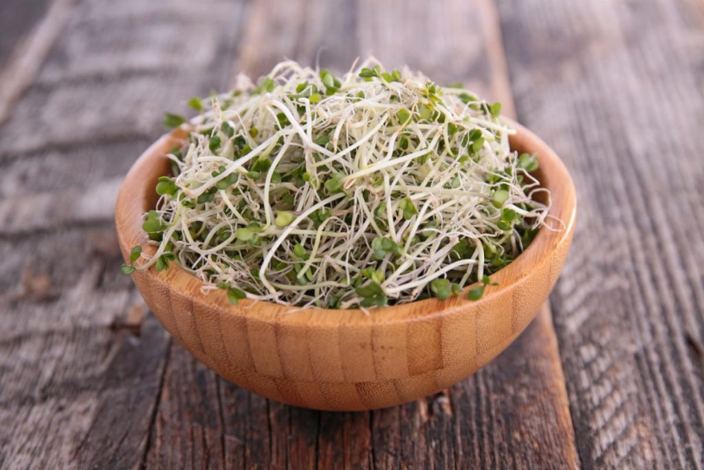 Bowl of broccoli sprouts