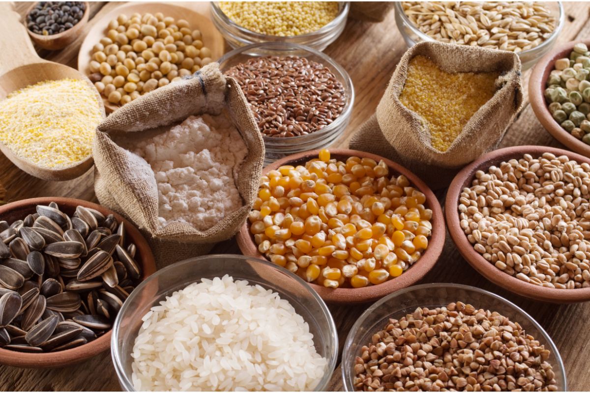 Variety of cereal grains in bowls