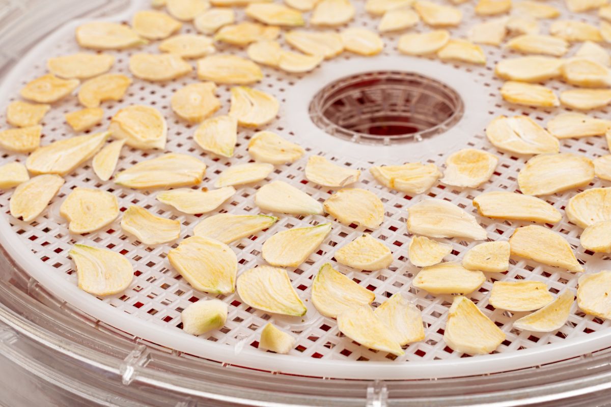 How To Dehydrate Garlic And Make Garlic Powder