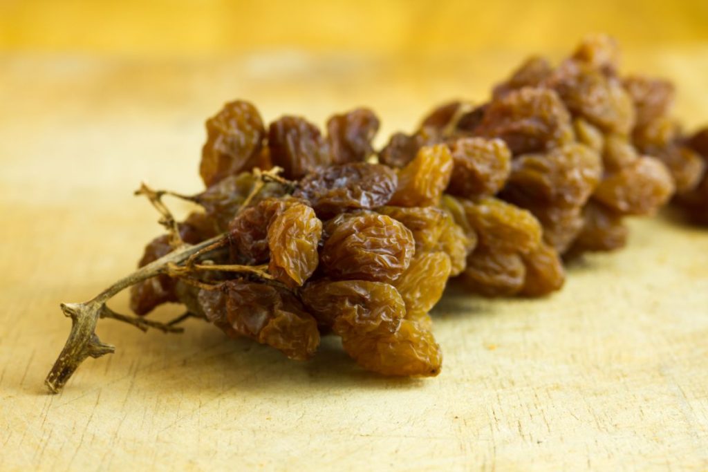 Golden raisins being dried on the vine