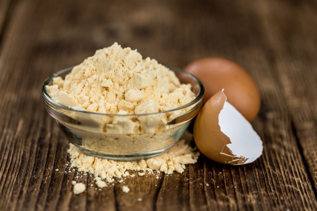 How To Dehydrate Eggs And Make Egg Powder