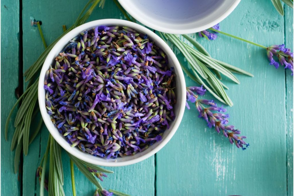 Bowl of lavender leaves and flowers