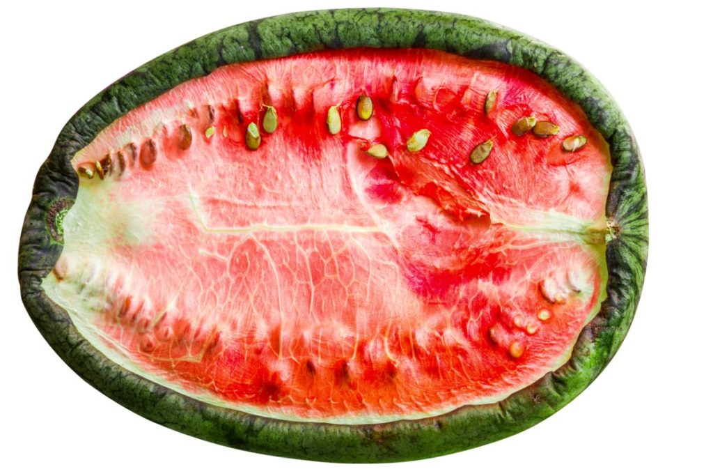 Watermelon cut in half and dried in the sun